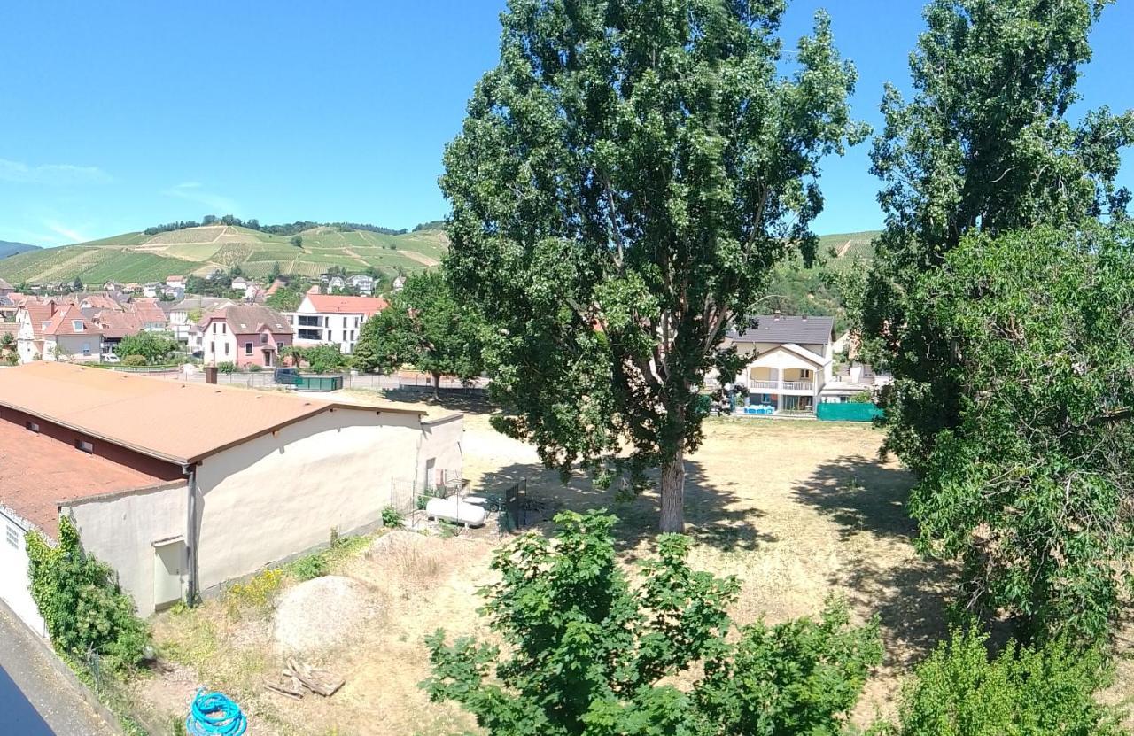 Appartement Avec Balcon : Le Serenity Turckheim Dış mekan fotoğraf